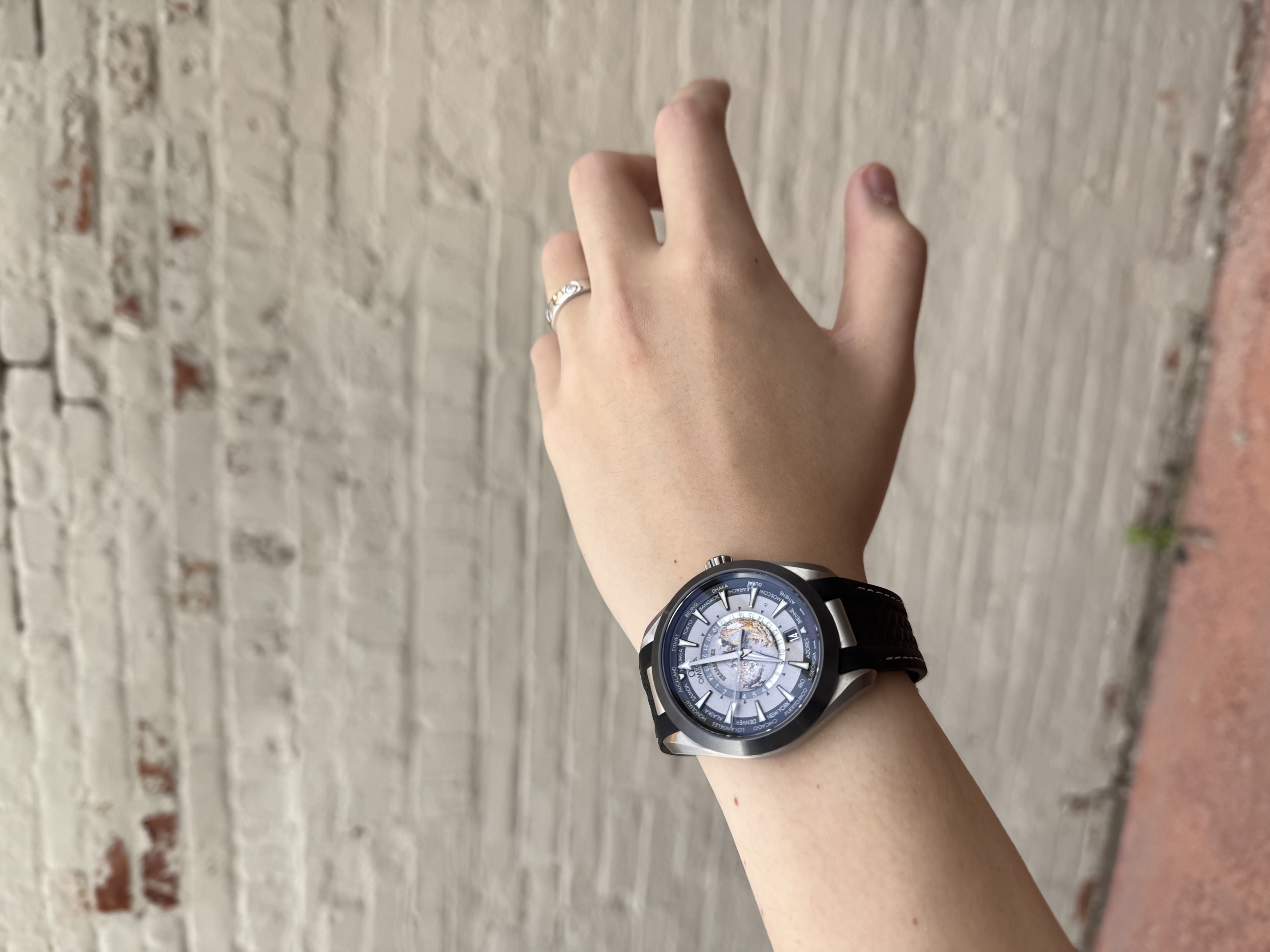Omega Aqua Terra Worldtimer Titanium